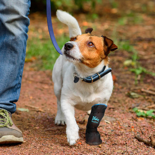 Bota ortopédica inmovilizadora veterinaria impermeable - Rugged X - MediVet Products - para animales de compañía / transpirable