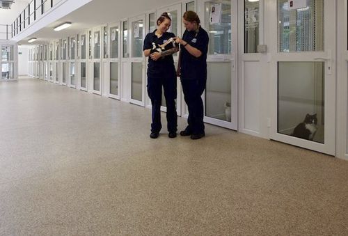 Pavimento de vinilo - Mosaic - Polyflor - de PUR / interior