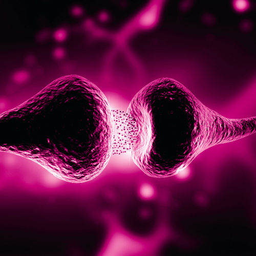 Reactivo anticuerpo monoclonal - Fujirebio - para la investigación / de diagnóstico / para inmunoanálisis