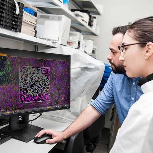 Software para la investigación - HALO® - Leica Biosystems - para centro sanitario / para la industria farmacéutica / para laboratorio de histología