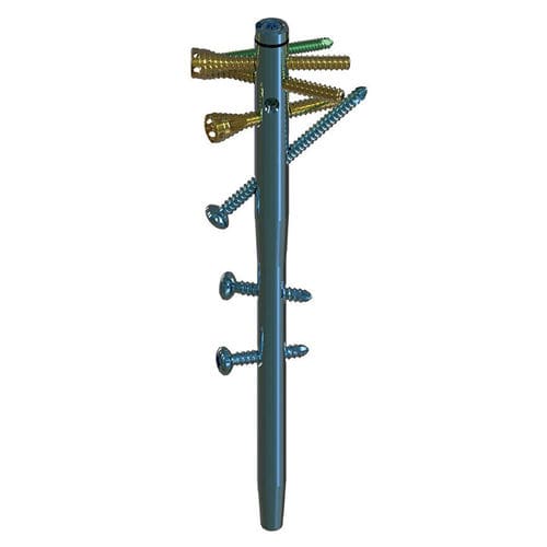 Clavo intramedular para húmero - Lepu Medical - fijación diafisaria / fijación proximal