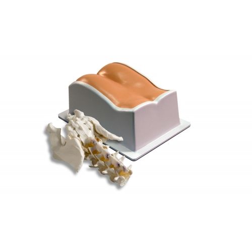 Fantoma de prueba para fluoroscopia -  034 - CIRS - de columna vertebral