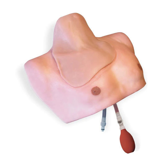 Simulador de paciente para acceso vascular - CentraLineMan® - Simulab Corporation - de cateterismo / de cateterismo venoso central / para cuidados intensivos