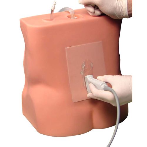Simulador de paciente de punción lumbar - LP-30 - Simulab Corporation - de palpación / de pelvis / ecoguiado