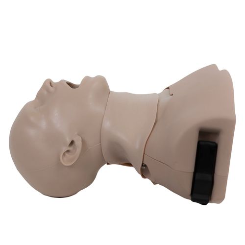 Simulador de formación - AirwayMan® - Simulab Corporation - de auscultación / para la gestión de las vías respiratorias / de intubación