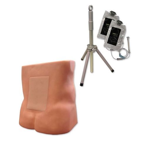 Simulador de paciente de palpación - LE-30 - Simulab Corporation - de punción lumbar / de cateterismo / obstetricoginecológico