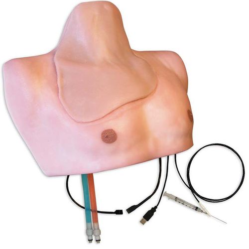 Simulador de paciente de anestesia - ISBS-30 - Simulab Corporation - para cuidados de enfermería / de anatomía / de torso
