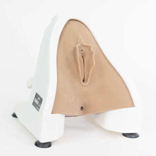 Simulador de formación - PRT-30-L - Simulab Corporation - para sutura / de reparación perineal / para cuidados de enfermería