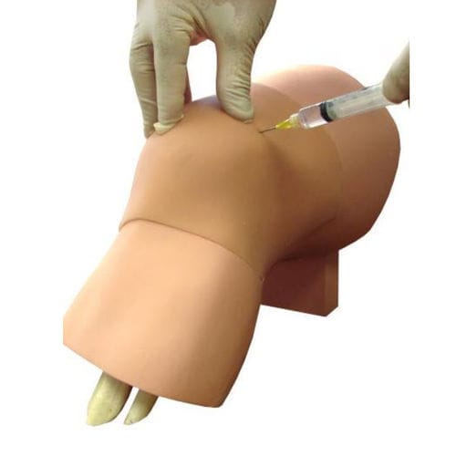 Simulador de inyección - ARC-20 - Simulab Corporation - de artrocentesis / para atención general / de rodilla