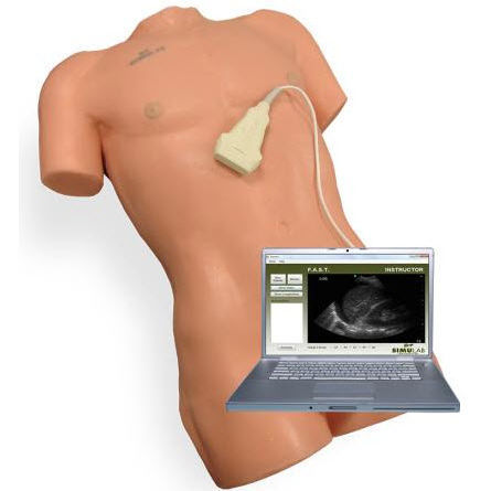 Simulador de paciente para ecografía - SonoMan® - Simulab Corporation - de anatomía / con trauma / de torso