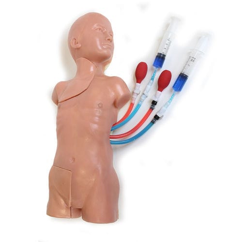 Simulador de paciente para acceso vascular - VAC-30 - Simulab Corporation - de torso