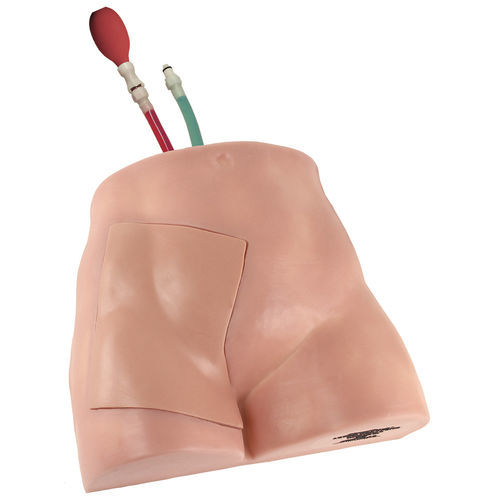 Simulador de formación - FLM-50 - Simulab Corporation - para acceso vascular / para ecografía / de pelvis