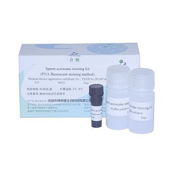 Kit de prueba de fertilidad - A23187 - Bred Life Science Technology Inc . - de esperma / por fluorescencia