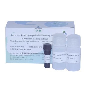 Kit de reactivos solución de coloración - DHE  - Bred Life Science Technology Inc . - para análisis de semen