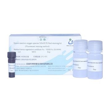 Kit de reactivos solución de coloración - MitoSOX  - Bred Life Science Technology Inc . - para análisis de semen