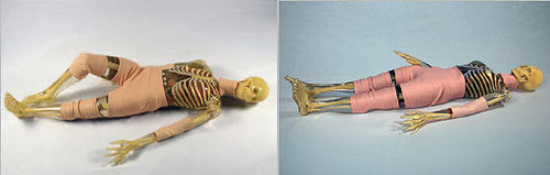 Fantoma de prueba para radiología - PIXY - Radiology Support Devices - de cuerpo entero