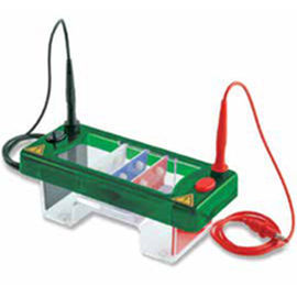 Cubeta de electroforesis para PCR - EHS1 series - Consort - horizontal