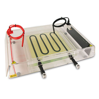 Sistema de electroforesis para focalización isoeléctrica - EIEF1100 - Consort - horizontal