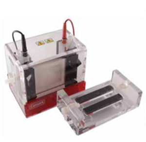 Cubeta de electroforesis automatizado - EVS3 series - Consort - vertical
