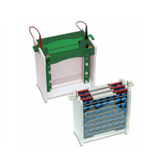 Cubeta para blot - EVS1 series - Consort
