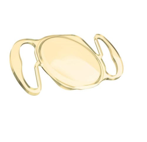 Lente intraocular monofocal - RayOne Hydrophobic BLF - Rayner