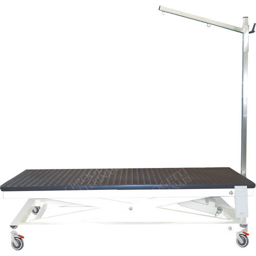 Mesa de aseo elevadora - TAVPET002 - Lory Progetti Veterinari srl - eléctrica