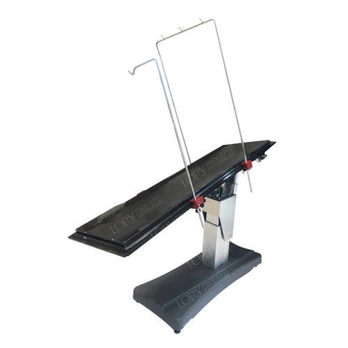 Mesa de operaciones veterinarias eléctrica - Carbon - Lory Progetti Veterinari srl - para animales grandes / con altura regulable / de transición