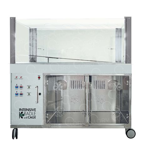 Jaula veterinaria para cuidados intensivos - INT002 - Lory Progetti Veterinari srl - modular / con ruedas / de acero inoxidable