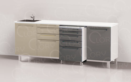 Plataforma de trabajo para clínica veterinaria - COMP004/D - Lory Progetti Veterinari srl - con cajón / con espacio de almacenamiento / con fregadero
