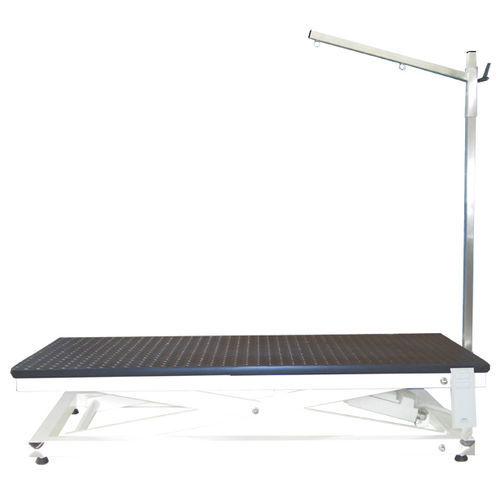Mesa de aseo elevadora - Gaia - Lory Progetti Veterinari srl - eléctrica