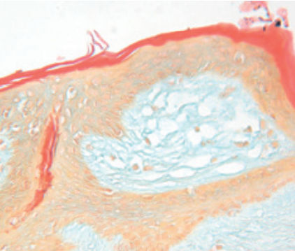 Reactivo solución de coloración - Dane  - BIO-OPTICA Milano - para histologia / para citología