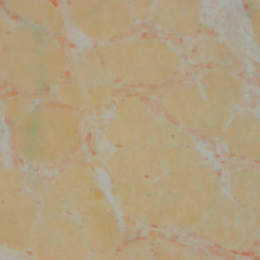 Reactivo solución de coloración - 30 – 30122LY - BIO-OPTICA Milano - para histologia