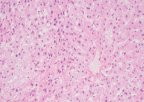 Reactivo solución de coloración - 04-140808 - BIO-OPTICA Milano - para citología / para histologia