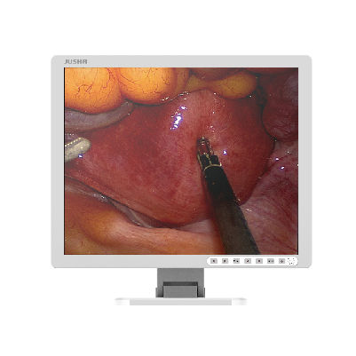 Monitor médico - E190AG - Nanjing Jusha Display Technology - quirúrgico / para sala de operaciones / para endoscopia