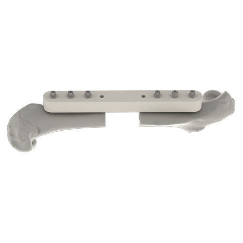Placa ósea veterinaria para ratas - RatFix - RISystem AG - para fémur / para tibia / de húmero
