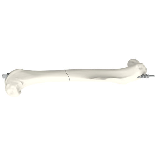 Tornillo ortopédico veterinario tipo de compresión - MouseScrew - RISystem AG - para fémur