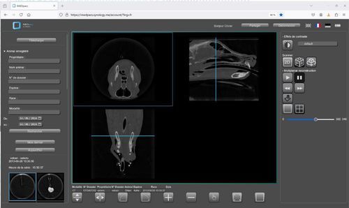 Software veterinario - IMEDpacs - Imedsys - de visualización / 3D / 2D