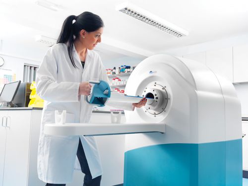 Sistema de imaginología preclínica IRM - MRS*DRYMAG 3.0T - MR Solutions - para animales pequeños / sin líquido de refrigeración