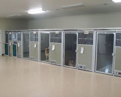 Jaula veterinaria para perros - Snyder Manufacturing Company - modular