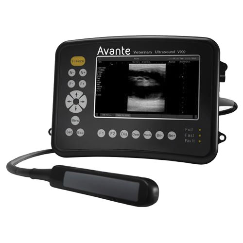 Ecógrafo veterinario portátil - V900 - DRE Veterinary - multifuncional / para équidos / blanco y negro