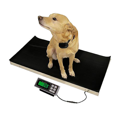 Balanza veterinaria mecánica - 700  - DRE Veterinary - plataforma / con indicador separado / USB