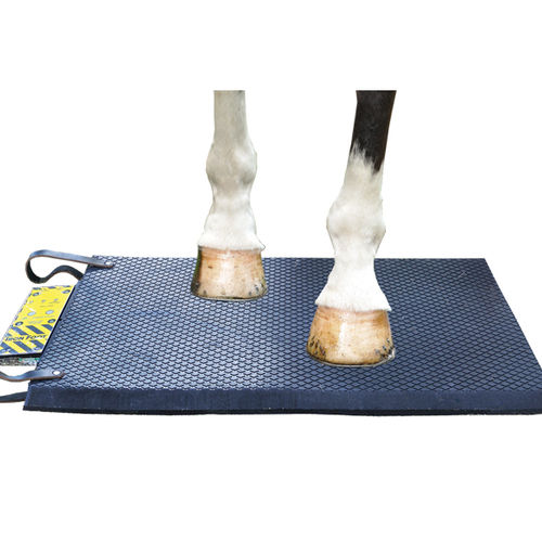 Unidad de magnetoterapia para équidos - Bio-Pulse Iron Foot - Respond Systems - colchón