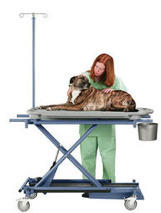 Camilla de exploración veterinaria - Versa-Lift - Olympic Veterinary - eléctrica / de altura variable / con ruedas