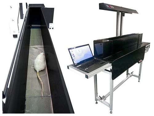 Prueba de distribución ponderal cinética - BIO-KWB-DUAL - Bioseb - para la experimentación con animales / para ratas / para roedores