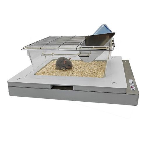 Monitor de actividad para el análisis del ritmo circadiano - BIO-ACTIV2-M - Bioseb - para experimentación con animales / para la investigación preclínica / para ratones