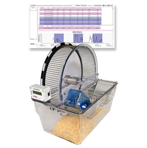 Rueda de actividad para experimentación con animales - BIO-ACTIWH2 - Bioseb - para el ejercicio espontáneo / para la investigación / para la investigación comportamental