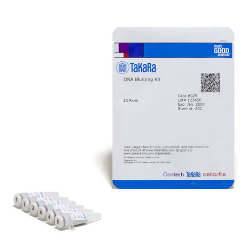 Kit de reactivos ADN polimerasas - 6025 - TAKARA - ADN ligasa / de ácidos nucleicos / para purificación de ADN