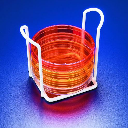 Soporte de laboratorio para placas de Petri - SWP062 - SciLabware Limited