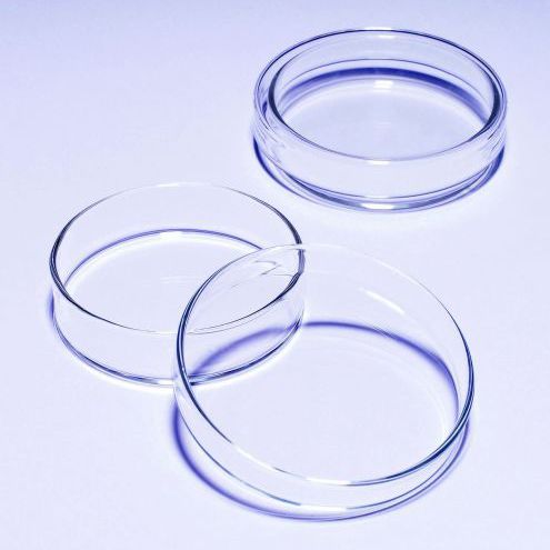Placa de Petri - Pyrex® 1480/02D, Pyrex® 1480/12D - SciLabware Limited