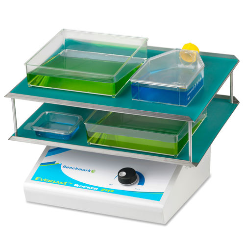 Agitador de laboratorio basculante - Everlast™ - BENCHMARK SCIENTIFIC - digital / de mesa / múltiple